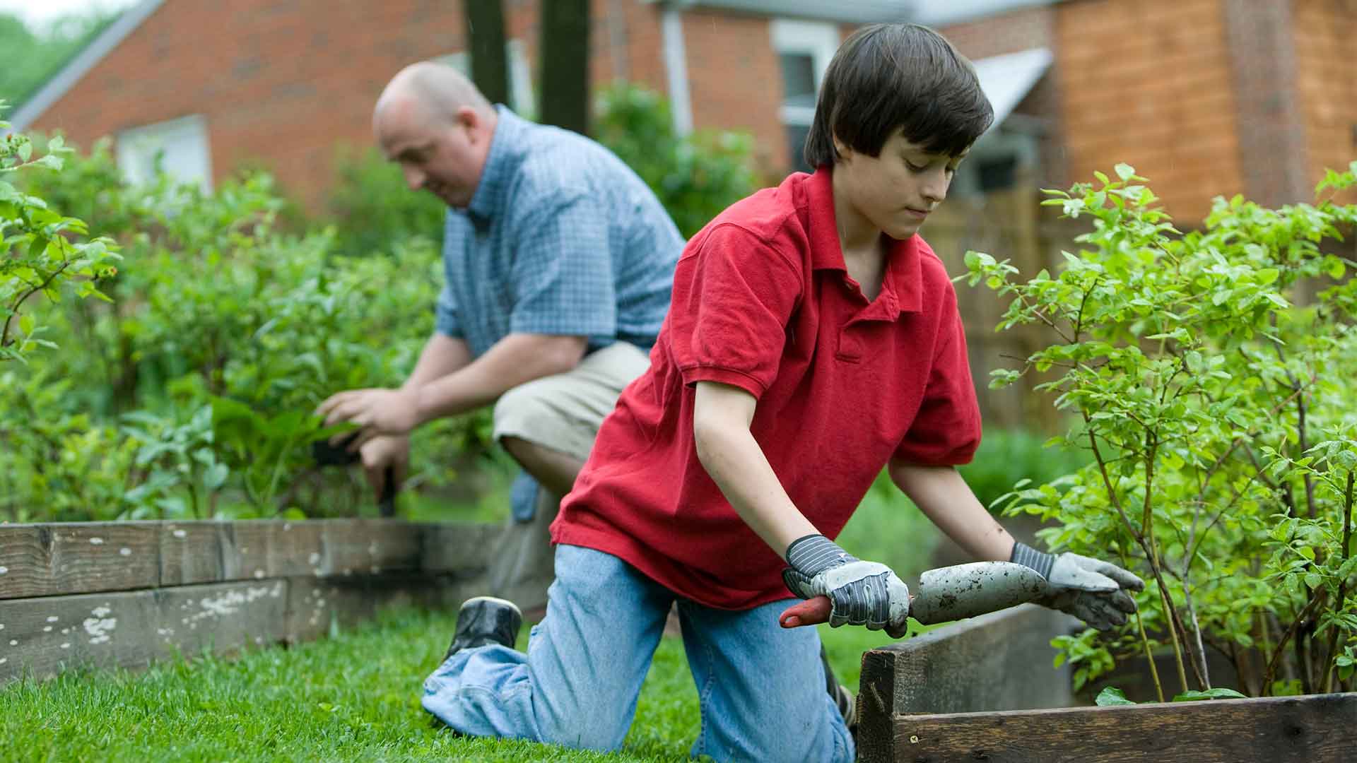 Create Your Own Small Garden At Home